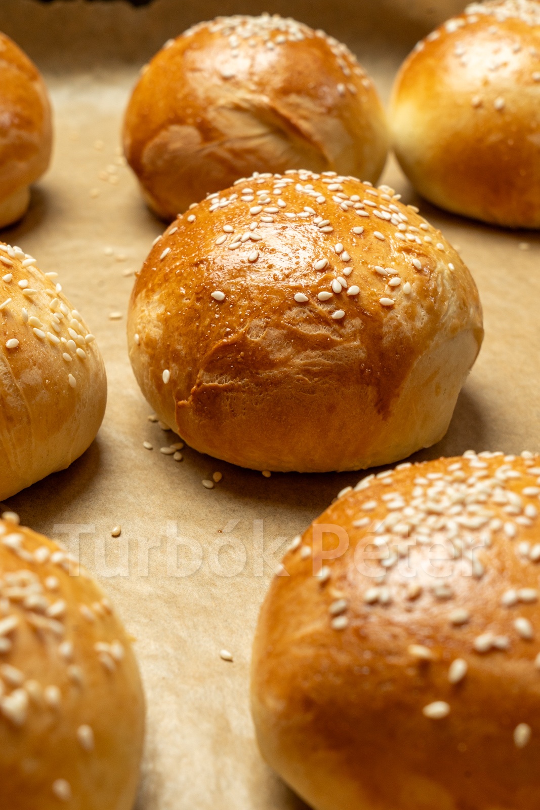 Aranybarnára sült házi hamburgerzsemlék szezámmaggal, sütőpapírral bélelt tepsiben.